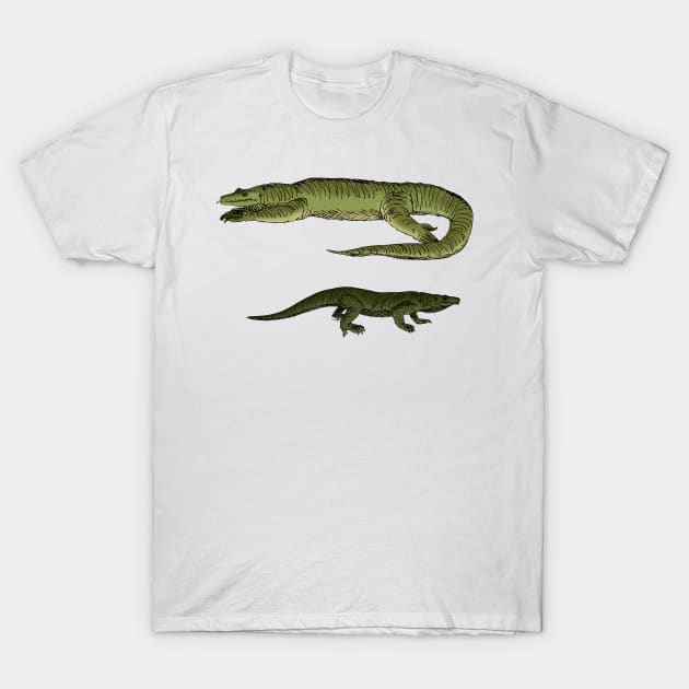 Megalania T-Shirt by Stanton